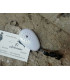 30835 ALARMA PERSONAL BLANCA