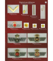 DISTINTIVO MILITAR