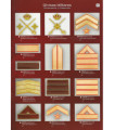 DIVISA MILITAR  Y ORNAMENTO