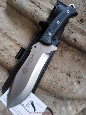 copy of SUPER OFERTA GLADIUS COCOBOLO