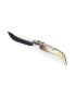 NOVEDAD NAVAJA ALBACETEÑA Nº0 EXPÓSITO
