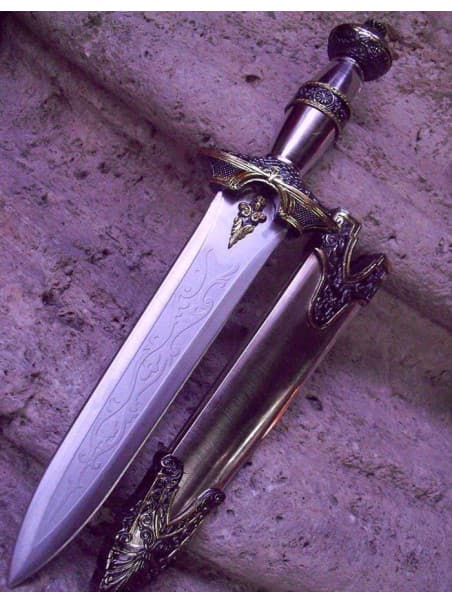 Roman sword 31545