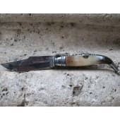 Penknife from Albacete of bull horn nº1
