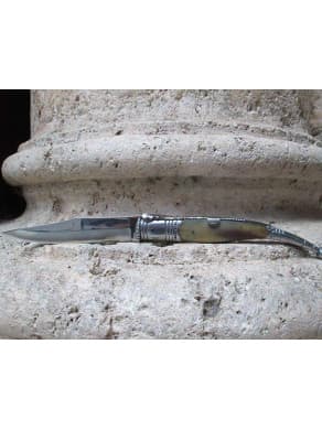 Penknife serrana of bull horn