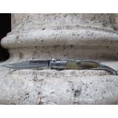 Penknife serrana of bull horn
