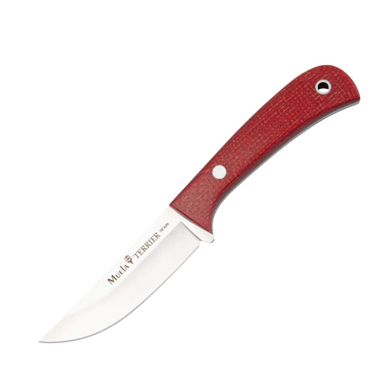 NOVEDAD CUCHILLO MUELA TERRIER-9Y FRAMBUESA