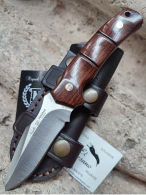 Knife of mount pegasus 6102