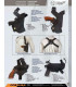 funda de pistola