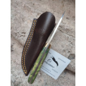 NOVEDAD CUCHILLO  COLIBRI LIMA MUELA