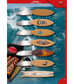 NOVEDAD NAVAJA SURF