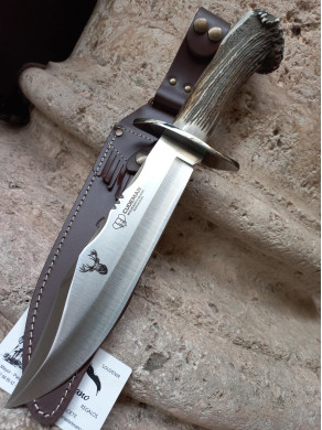 NOVEDAD BOWIE ROSETA CUDEMAN 294CR