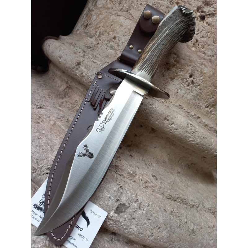 NOVEDAD BOWIE ROSETA CUDEMAN 294CR