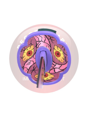 KATANA DEMON SLAYER KOKUSHIBOU S5121