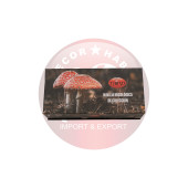 NAVAJA SETAS  N207 THIRD