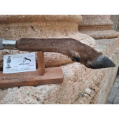 NAVAJA PATA DE CIERVO ARTESANA ÚNICA