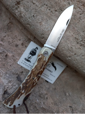 NAVAJA CAMPAÑA CIERVO BLOQUEO NIETO