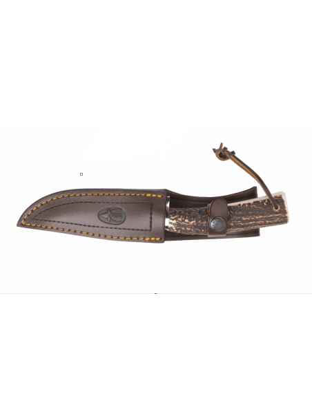 CUCHILLO CAZA MUELA POINTER-13A