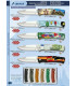 NOVEDAD SET DE 6 NAVAJA 3D MANGO DE MADERA