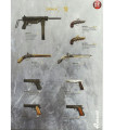 NOVEDAD PISTOLA O TRABUCO DENIX