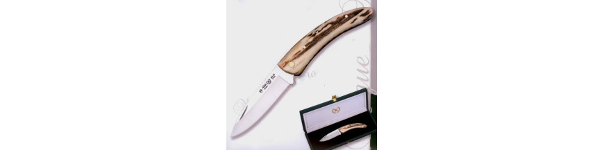 Stag tip penknife